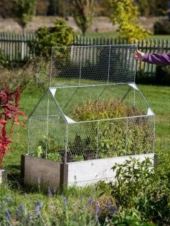 Chicken Wire Crop Coop -Green Garden Shop 8609080 4024