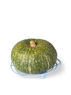 Melon And Squash Cradles, Set Of 6 -Green Garden Shop 8609464 5204 tif
