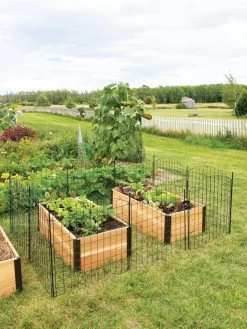 6 Panel Critter Fence With Gate -Green Garden Shop 8609844 8457 tif