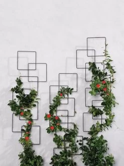 Building Blocks Wall Trellis, 45" -Green Garden Shop 8610183 5811 tif