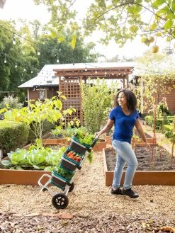 Mod Hod Trolley With Teal Mod Hods -Green Garden Shop 8610240 0070 tif