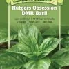 Rutgers Obsession Basil Organic Seeds -Green Garden Shop 8610289 01v rutgers obsession basil organic seeds
