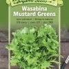 Wasabina Mustard Greens Organic Seeds -Green Garden Shop 8610363 01v wasabina mustard greens organic seeds