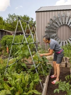 Connector Kit For DIY A Frame Plant Support -Green Garden Shop 8610366 7584 tif