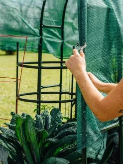 Maxi Garden Hoops With Clips -Green Garden Shop 8610372 368 tif