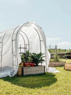 Maxi Garden Quilt -Green Garden Shop 8610373 373 tif