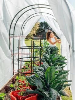 Maxi Garden Hoops With Clips -Green Garden Shop 8610373 377 tif