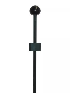 Peacock Classic Plant Support Rings 15", Set Of 2 -Green Garden Shop 8610383 03V 3 4