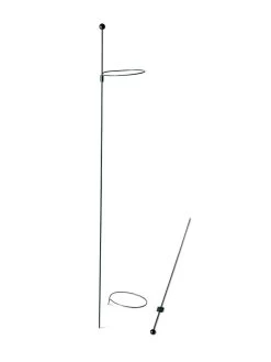 Peacock Mini Plant Support Rings 4", Set Of 2 -Green Garden Shop 8610386 9566