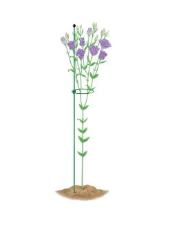 Peacock Mini Plant Support Rings 4", Set Of 2 -Green Garden Shop 8610386 peacock4x36