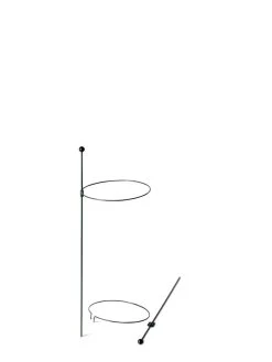 Peacock Mini Plant Support Rings 8", Set Of 2 -Green Garden Shop 8610387 9571 tif