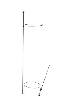 Peacock Mini Plant Support Rings 8", Set Of 2 -Green Garden Shop 8610388 9565 tif