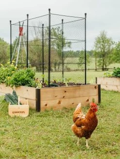 Tall Chicken Wire Critter Fence With Gate -Green Garden Shop 8611020 316 tif