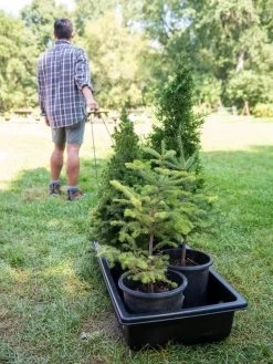 Gardener's Summer Sled And Cover -Green Garden Shop 8611044 229 tif