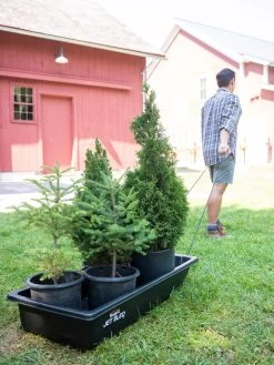 Gardener's Summer Sled -Green Garden Shop 8611044 237 tif