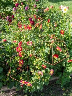 Parasol Plant Supports, Set Of 3 -Green Garden Shop 8611129 050 tif