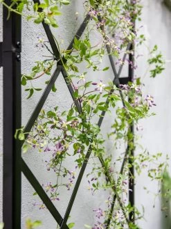 Lattice Gable Wall Trellis -Green Garden Shop 8611130 011