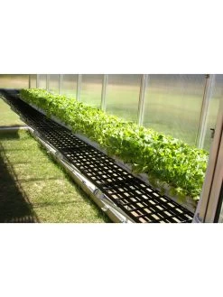 MONT Greenhouse Work Bench System, 8' X 12' -Green Garden Shop 8611204 03v 1