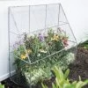 Chicken Wire Flat Back Crop Coop -Green Garden Shop 8611701 142 tif