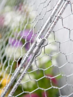 Chicken Wire Flat Back Crop Coop -Green Garden Shop 8611701 167 tif