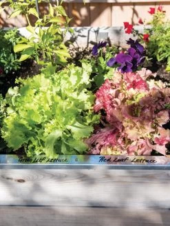 Re-Markable Raised Bed Trim -Green Garden Shop 8611758 306 tif