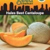 Hales Best Cantaloupe Organic Seeds -Green Garden Shop 8611872 02v hales best cantaloupe organic seeds