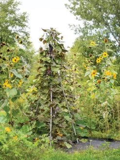 DIY Connector For Teepee Trellis -Green Garden Shop 8611896 062 tif