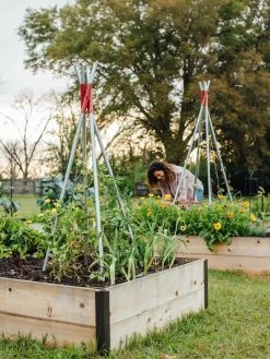 DIY Connector For Teepee Trellis -Green Garden Shop 8611896 38 tif