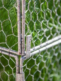 Chicken Wire Crop Coop Extension 12 Chicken Wire Crop Coop Extension -Green Garden Shop 8611940 232 tif