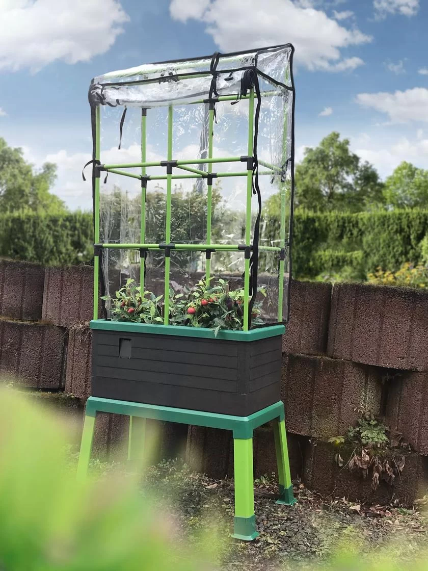 Greenhouse Cover For City Jungle® Tomato Trellis 4 Greenhouse Cover For City Jungle® Tomato Trellis - Image 2