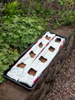 Berry Blend Coir Grow Bag, Set Of 2 -Green Garden Shop 8611968 361 tif