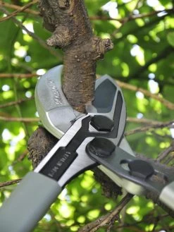 Green Garden Shop -Green Garden Shop 8611970 01V tif