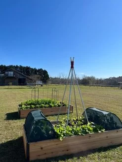 Insect And Pest Net Row Protector -Green Garden Shop 8611985 04 tif