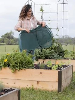 Insect And Pest Net Row Protector -Green Garden Shop 8611985 8389 tif