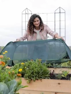 Insect And Pest Net Row Protector -Green Garden Shop 8611985 8390 tif