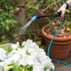 Indoor Outdoor Plant Sprayers -Green Garden Shop 8611993 029 tif