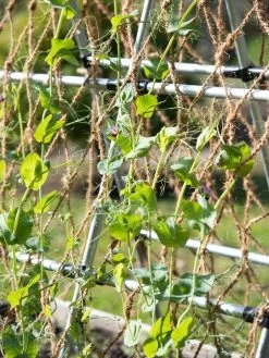Coco Trellis Netting, 4' X 15' -Green Garden Shop 8612050 005 tif
