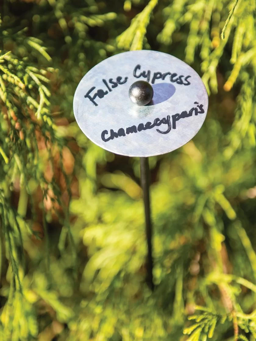 Re-Markable Plant Markers 32", Set Of 6 3 Re-Markable Plant Markers 32", Set Of 6