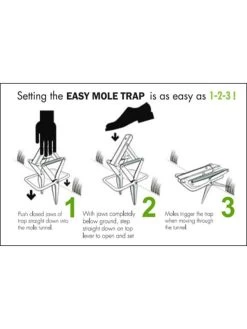 Easy Mole Trap -Green Garden Shop 8612557 04v 1