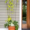 Flock Of Friends Pot Trellis -Green Garden Shop 8612635 0081 flock of friends pot trellis