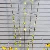 Flock Of Friends Wall Trellis -Green Garden Shop 8612636 0029 flock of friends wall trellis