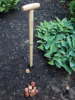 Wicked Big Dibber -Green Garden Shop 8612667 0028