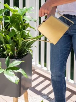 Precision Brass Watering Can 9 Precision Brass Watering Can -Green Garden Shop 8612691 0011