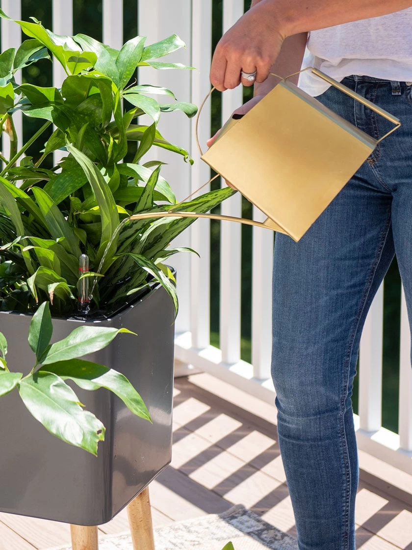 Precision Brass Watering Can 5 Precision Brass Watering Can - Image 3