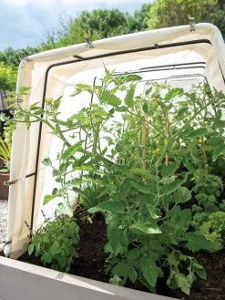 Metal Medium Garden Clips 2.25", Set Of 18 -Green Garden Shop 8612815 0038