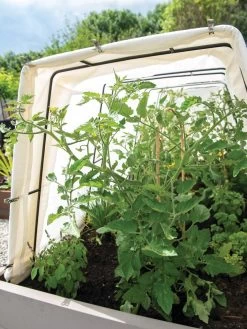 Cotton All Purpose Garden Cover 9 Cotton All Purpose Garden Cover -Green Garden Shop 8612815 0038 tif