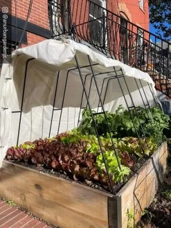 Zenith Garden Hoops, Set Of 4 -Green Garden Shop 8612816 01CUST 1