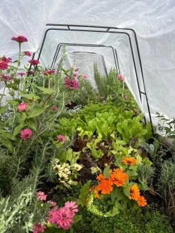 All-Purpose Garden Fabric -Green Garden Shop 8612816 01TEST