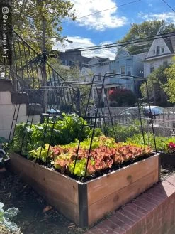 Zenith Garden Hoops, Set Of 4 -Green Garden Shop 8612816 02CUST