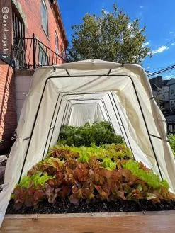 Cotton All Purpose Garden Cover 12 Cotton All Purpose Garden Cover -Green Garden Shop 8612816 03CUST